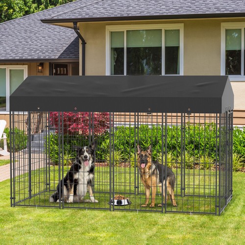 Outdoor dog playpen - outdoor,