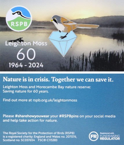 Rspb pin badge special - rspb,