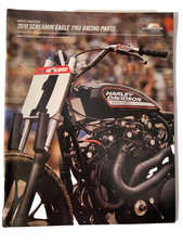 2010 Harley Davidson Screaming