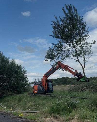 Tree grab shear various - grab/, shear,