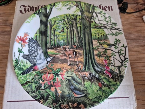 Wedgwood the beechwood bone - the,
