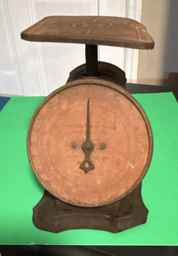Columbia family scale - family, antique