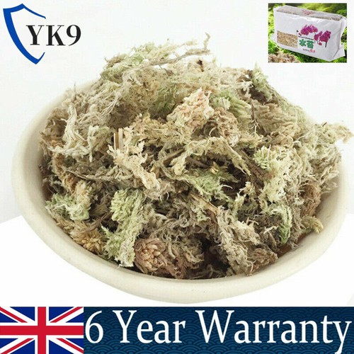 12l sphagnum moss for - sphagnum,