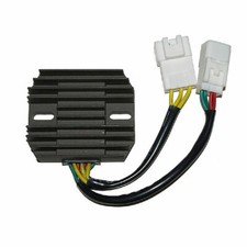 ELECTROSPORT REGULATOR FOR