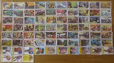A&BC Battle, Bubble gum Cards