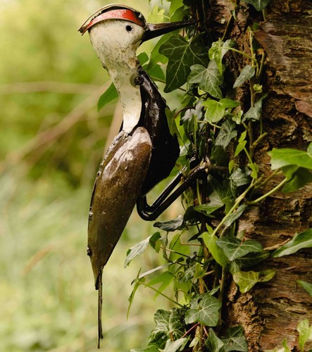 Metal woodpecker garden - metal,