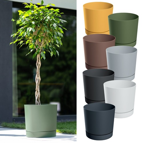 Plant pot with saucer - plant,