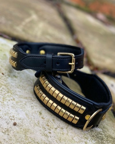 Leather dog collar studded for - dog,