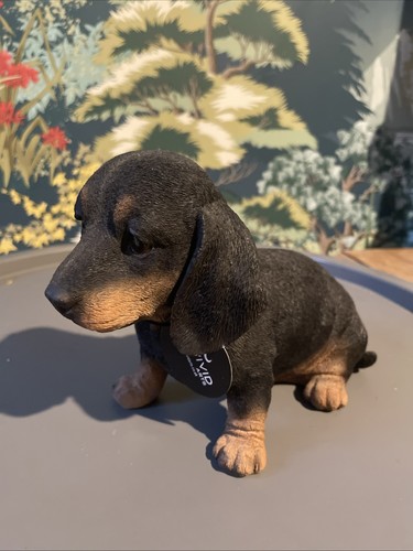 Vivid arts puppy dachshund - vivid,