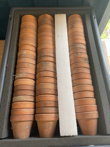 Vintage seedlings terracotta - seedlings,