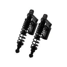 Kawasaki ZRX1100 C1-C4