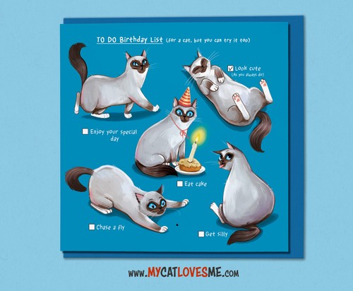 Humorous cat birthday card - humorous,