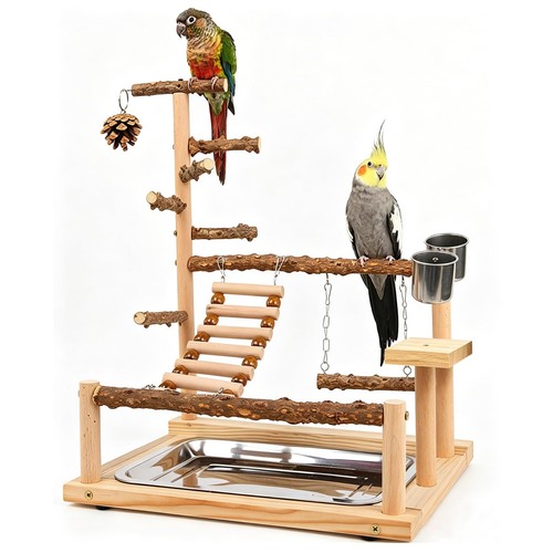Bird playground parrot - bird,