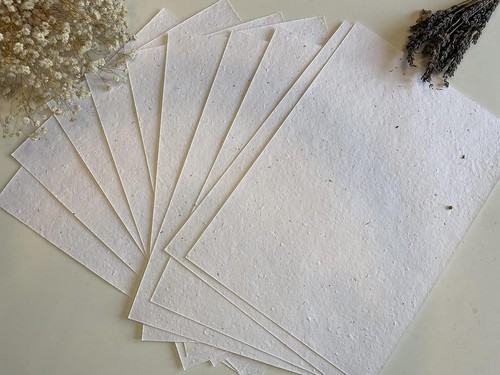 A5 plantable seed - &,