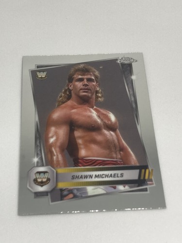 Shawn michaels hbk 188 - shawn, wwe