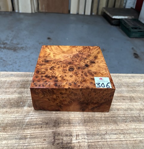 Thuya burr 6 - x, 3”