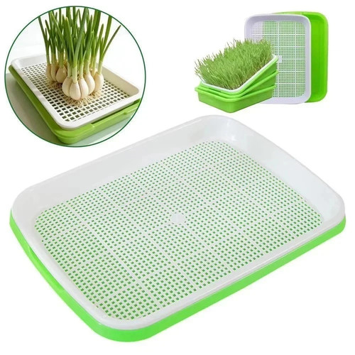 Hydroponic microgreens - hydroponic,