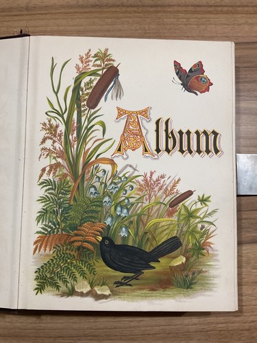 Victorian photo album - , "album
