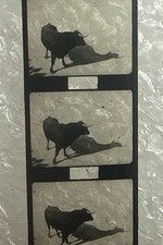 Vintage 9.5mm Baby Film - 'A