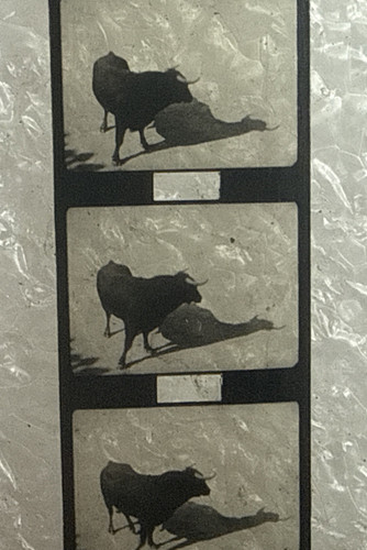 Vintage 5mm baby film a - baby, 'a