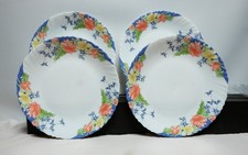 Arcopal 27.5 Florine design