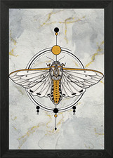 Costate Tiger Moth in Gold