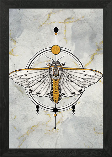 Costate tiger moth - tiger, gold