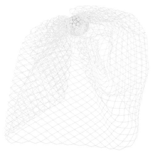 Birdcage veil wedding bride - veil,