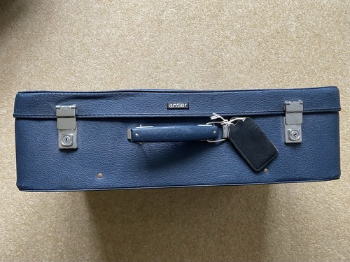 Vintage blue antler - vintage,