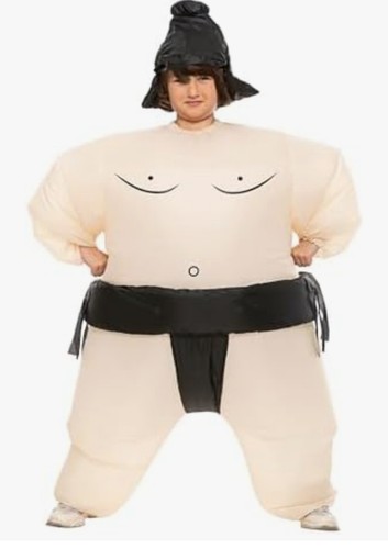Inflatable sumo wrestling - sumo,