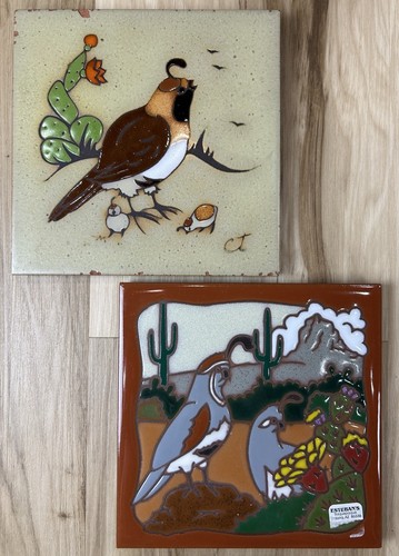 Gambel quail bird family - quail,