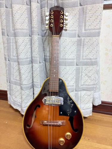 Electric string mandolin - electric,