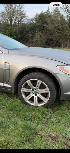 Jaguar saloon 2009 - jaguar,