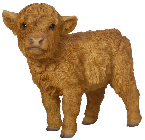 Vivid arts highland cattle - highland,