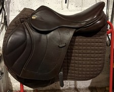 fairfax classic deluxe low wither jump