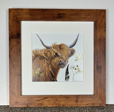 Scottish Highland Cow Picture Framed Art Print by Pollyanna Pickering 10" x 10"