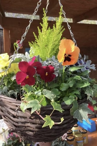 Pre planted autumn - pre,