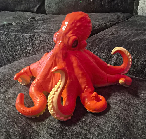 Orange octopus sea animal - orange,