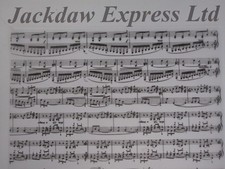 Printed Vellum Paper Black