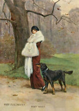 GORDON SETTER & LADY CHARMING