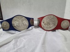 WWE TAG TEAM CHAMPION TITLE
