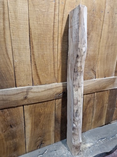 Live edge spalted beech slab - live,