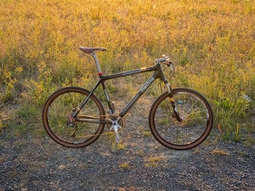 Superlight carbon hardtail - carbon,