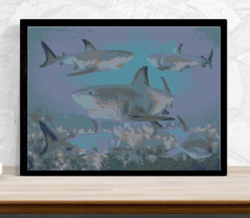 Great white sharks counted - great,