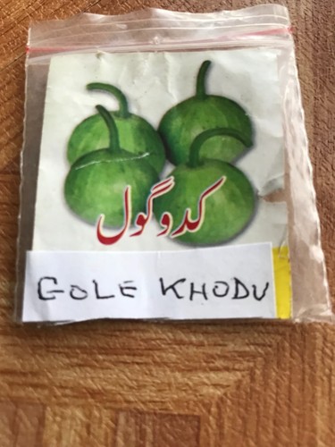 Pakistani round kodu - pakistani, gourd