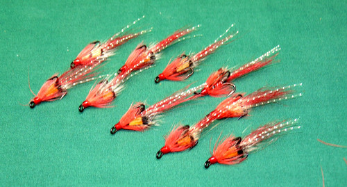 New allies shrimp - ,