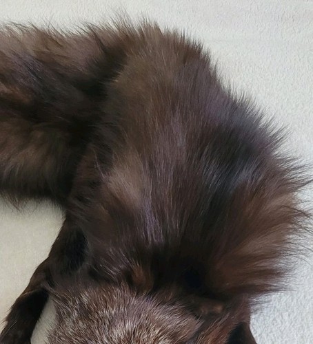 Vintage dark brown fox real - vintage,
