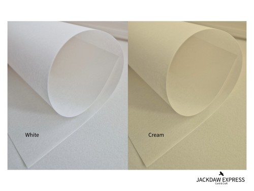 Parchment vellum extra - 10,