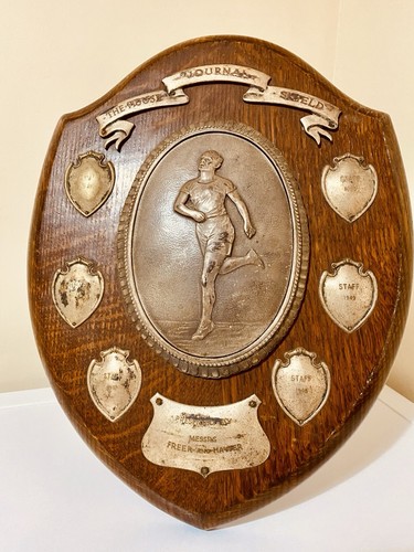 Big trophy shield 14 - big,