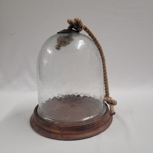 Glass dome bell jar - bell, display